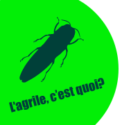 On frêne!